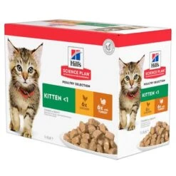 Hill's Science Plan Hill's Kitten Para Gatos -Gatos Perros Suministros Tienda 101365 pla hills science plan kitten gefluegel auswahl 5