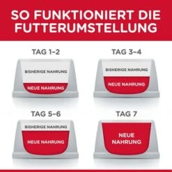 Hill's Science Plan Hill's Kitten Para Gatos -Gatos Perros Suministros Tienda 102009 hill s science plan kitten seefisch hs 01 8