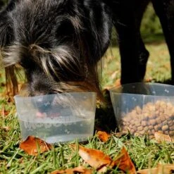 Comedero Plegable Mobowl 5 Comedero Plegable Mobowl -Gatos Perros Suministros Tienda 111118 texstar mobowl foldablebowl hs 02 9