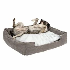 Cama Austin Para Perros 26 Cama Austin Para Perros -Gatos Perros Suministros Tienda 111542 hundebett mem foam austin fg 0510 2