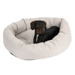 Cama Modern Living Bailey Para Perros 11 Cama Modern Living Bailey Para Perros -Gatos Perros Suministros Tienda 111544 hundebett baily fg 0610 8
