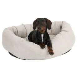 Cama Modern Living Bailey Para Perros 14 Cama Modern Living Bailey Para Perros -Gatos Perros Suministros Tienda 111544 hundebett baily fg 0614 5