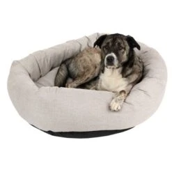 Cama Modern Living Bailey Para Perros 12 Cama Modern Living Bailey Para Perros -Gatos Perros Suministros Tienda 111545 hundebett baily fg 0572 2
