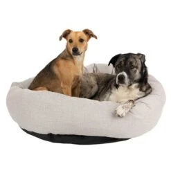 Cama Modern Living Bailey Para Perros 15 Cama Modern Living Bailey Para Perros -Gatos Perros Suministros Tienda 111545 hundebett baily fg 0574 0