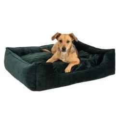 Cama Modern Living Fern Para Perros 18 Cama Modern Living Fern Para Perros -Gatos Perros Suministros Tienda 111546 hundebett fern fg 0532 4