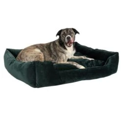 Cama Modern Living Fern Para Perros 19 Cama Modern Living Fern Para Perros -Gatos Perros Suministros Tienda 111547 hundebett fern fg 0546 0