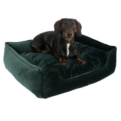 Cama Modern Living Fern Para Perros 5 Cama Modern Living Fern Para Perros - Imagen 5