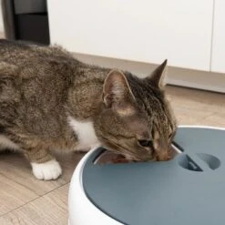 Alimentador Automático Noma 26 Alimentador Automático Noma -Gatos Perros Suministros Tienda 116296 futterautomat noma fg 9445 3