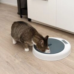 Alimentador Automático Noma 25 Alimentador Automático Noma -Gatos Perros Suministros Tienda 116296 futterautomat noma fg 9456 9