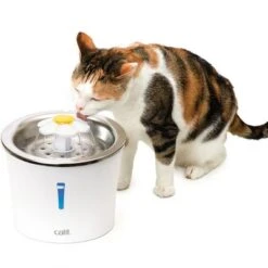 Bebedero Fuente Catit Flower Fountain De Acero, 3 L -Gatos Perros Suministros Tienda 135197 hagencontainer catit blumentrinkbrunnen edelstahl trinkbrunnen 3liter hs 06 7