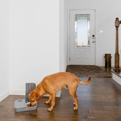 Comedero Automático Doble PetSafe® Para Mascotas 7 Comedero Automático Doble PetSafe® Para Mascotas - Imagen 7