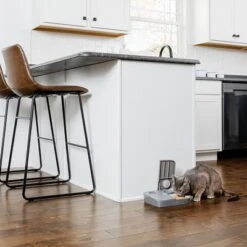 Comedero Automático Doble PetSafe® Para Mascotas 20 Comedero Automático Doble PetSafe® Para Mascotas -Gatos Perros Suministros Tienda 145997 rasiosystems petsafe futterautomat 2mahlzeiten catdog 2x355xml hs 11 4