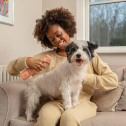 Pet Head Quick Fix Champú En Seco Para Perros -Gatos Perros Suministros Tienda 159702 companyofanimals pethead quickfixspray 300ml hs 05 3