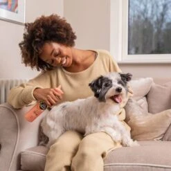 Pet Head Quick Fix Champú En Seco Para Perros -Gatos Perros Suministros Tienda 159702 companyofanimals pethead quickfixspray 300ml hs 06 2