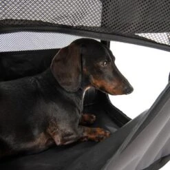 Caseta Plegable Fiona Para Mascotas 21 Caseta Plegable Fiona Para Mascotas -Gatos Perros Suministros Tienda 173100 faltbare hundekiste fiona fg 6338 4