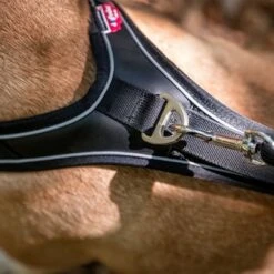 Arnés Curli Belka Comfort Negro Para Perros 18 Arnés Curli Belka Comfort Negro Para Perros -Gatos Perros Suministros Tienda 176034 curli belka comfort geschirr schwarz hs 10 7