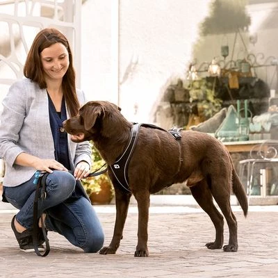 Arnés Curli Belka Comfort Negro Para Perros 11 Arnés Curli Belka Comfort Negro Para Perros - Imagen 11