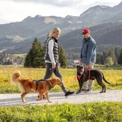 Arnés Curli Belka Comfort Negro Para Perros 14 Arnés Curli Belka Comfort Negro Para Perros -Gatos Perros Suministros Tienda 176034 curli belka comfort geschirr schwarz hs 12 7