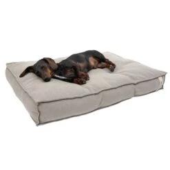 Cama Hamilton EcoLIFE Gris Para Perros -Gatos Perros Suministros Tienda 180715 hamilton ecolife grau fg 6399 2