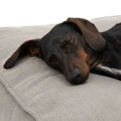 Cama Hamilton EcoLIFE Gris Para Perros -Gatos Perros Suministros Tienda 180715 hamilton ecolife grau fg 6400 5