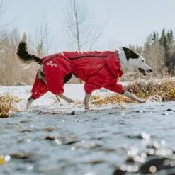 Chubasquero Bare Berry Hurtta Para Perros 19 Chubasquero Bare Berry Hurtta Para Perros -Gatos Perros Suministros Tienda 186544 186545 186546 186547 186548 186549 hurtta forzooplus bare regenoverall berry hs 10 6