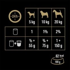 Cesar Natural Goodness Latas Para Perros 20 Cesar Natural Goodness Latas Para Perros -Gatos Perros Suministros Tienda 186796 marsgermany cesar naturalgoodness huhn 6x400g hs 07 2