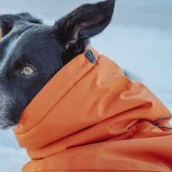 Abrigo Invernal Bare Sunrise Hurtta Para Perros 27 Abrigo Invernal Bare Sunrise Hurtta Para Perros -Gatos Perros Suministros Tienda 188296 188297 188298 188299 188300 188301 188302 hurtta forzooplus bare winterjacke sunrise hs 15 9