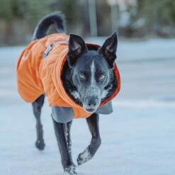 Abrigo Invernal Bare Sunrise Hurtta Para Perros 23 Abrigo Invernal Bare Sunrise Hurtta Para Perros -Gatos Perros Suministros Tienda 188296 188297 188298 188299 188300 188301 188302 hurtta forzooplus bare winterjacke sunrise hs 16 1