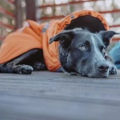 Abrigo Invernal Bare Sunrise Hurtta Para Perros 36 Abrigo Invernal Bare Sunrise Hurtta Para Perros -Gatos Perros Suministros Tienda 188296 188297 188298 188299 188300 188301 188302 hurtta forzooplus bare winterjacke sunrise hs 18 3