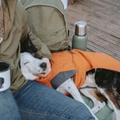 Abrigo Invernal Bare Sunrise Hurtta Para Perros 38 Abrigo Invernal Bare Sunrise Hurtta Para Perros -Gatos Perros Suministros Tienda 188296 188297 188298 188299 188300 188301 188302 hurtta forzooplus bare winterjacke sunrise hs 20 2