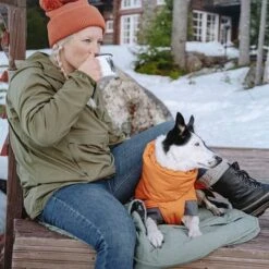 Abrigo Invernal Bare Sunrise Hurtta Para Perros 37 Abrigo Invernal Bare Sunrise Hurtta Para Perros -Gatos Perros Suministros Tienda 188296 188297 188298 188299 188300 188301 188302 hurtta forzooplus bare winterjacke sunrise hs 22 1