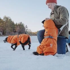 Abrigo Invernal Bare Sunrise Hurtta Para Perros 35 Abrigo Invernal Bare Sunrise Hurtta Para Perros -Gatos Perros Suministros Tienda 188296 188297 188298 188299 188300 188301 188302 hurtta forzooplus bare winterjacke sunrise hs 23 1