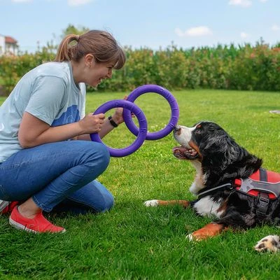 Ferplast Puller Juguete Para Perros 8 Ferplast Puller Juguete Para Perros - Imagen 8