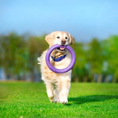 Ferplast Puller Juguete Para Perros 11 Ferplast Puller Juguete Para Perros - Imagen 11