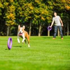 Ferplast Puller Juguete Para Perros 26 Ferplast Puller Juguete Para Perros -Gatos Perros Suministros Tienda 199296 ferplastitalien ferplast hundespielzeug puller midi 27cm hs 17 7