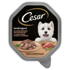 Cesar En Tarrinas 56 X 150 G -Gatos Perros Suministros Tienda 1 206281 pla marsgemany megapack cesar schale truthahn 14x150g hs 01 3