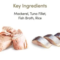 Applaws Latas En Caldo Para Gatos 12 X 156 G -Gatos Perros Suministros Tienda 1 71551 applaws bruehe meeresfisch 156g hs 01 4