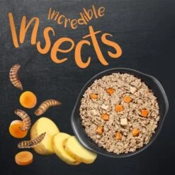 Greenwoods Insects Insectos Con Patatas Y Zanahorias 7 Greenwoods Insects Insectos Con Patatas Y Zanahorias -Gatos Perros Suministros Tienda 1 greenwoods insects board 2