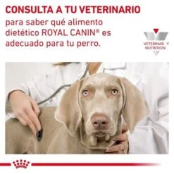 Royal Canin Veterinary Canine Cardiac Pienso Para Perros -Gatos Perros Suministros Tienda 1 rc vdi cardiacdry cv eretailkit 9 es es 6