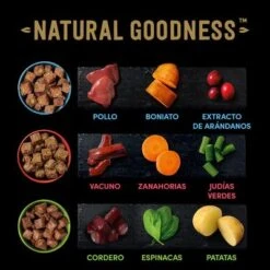 Cesar Natural Goodness Latas Para Perros 16 Cesar Natural Goodness Latas Para Perros -Gatos Perros Suministros Tienda 2022 04 cesar naturalgoodness ingredients 1000x1000 es 2