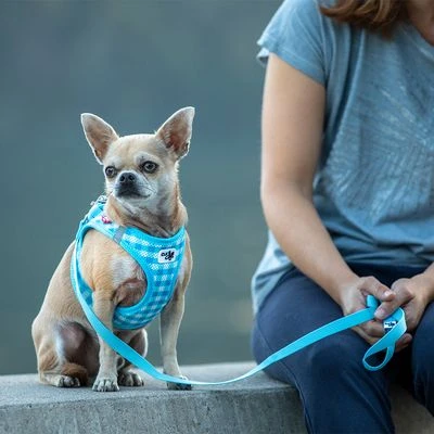 Set Curli: Arnés Vest Air-Mesh + Correa Basic Caro Azul Cielo - Imagen 4
