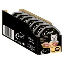 Cesar En Tarrinas 56 X 150 G -Gatos Perros Suministros Tienda 206282 marsgemany megapack cesar schale terrine 14x150g hs 02 4