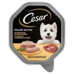 Cesar En Tarrinas 56 X 150 G -Gatos Perros Suministros Tienda 206282pla marsgemany megapack cesar schale terrine 14x150g hs 01 1
