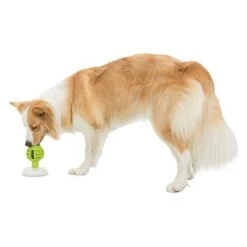 Trixie Licking Ball Pelota Rellenable Para Perros 19 Trixie Licking Ball Pelota Rellenable Para Perros -Gatos Perros Suministros Tienda 209078 trixie licknsnack ball hs 09 6