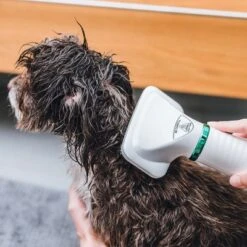 Cepillo Trixie De Aire Caliente -Gatos Perros Suministros Tienda 212217 trixie warmluftbuerste 300w hs 18 5