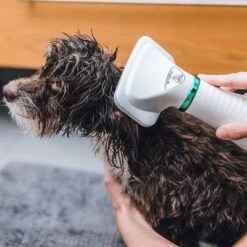 Cepillo Trixie De Aire Caliente -Gatos Perros Suministros Tienda 212217 trixie warmluftbuerste 300w hs 19 8