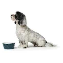 Comedero De Cerámica HUNTER Eiby Azul -Gatos Perros Suministros Tienda 212959 212960 212965 hunter keramik napf eiby blau hs 03 6