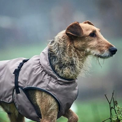 Abrigo HUNTER Uppsala Para Perros 14 Abrigo HUNTER Uppsala Para Perros - Imagen 14