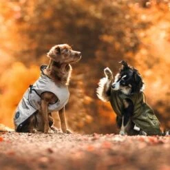 Abrigo HUNTER Uppsala Para Perros 32 Abrigo HUNTER Uppsala Para Perros -Gatos Perros Suministros Tienda 213996 213997 213998 212936 212937 212938 212939 hunter hundemantel uppsala bejie hs 21 5