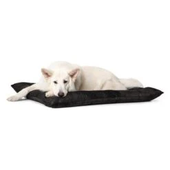 Cama Hunter Bologna Negra Para Perros -Gatos Perros Suministros Tienda 214699 214700 hunter hundebett bologna schwarz hs 06 1
